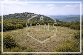 ����� ������� ������,�. ��������, ������ ������ �������