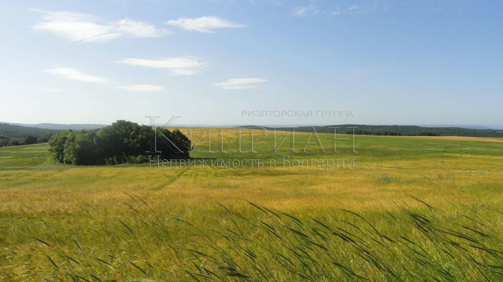 Продава ХОТЕЛ, гр. Бяла, област Варна, снимка 3 - Хотели - 53983639