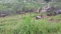 Продава ПАРЦЕЛ, с. Малка Верея, област Стара Загора, снимка 2