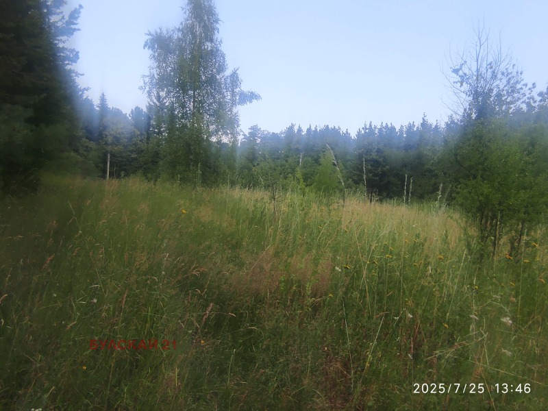 Продава ПАРЦЕЛ в град София, с. Долни Пасарел - 9070 кв.м / 408 150 € » 798 272.01 лв., БУЛСКАЙ 21