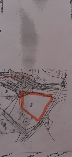 ����� ������� ������,�. �����, ������ ������