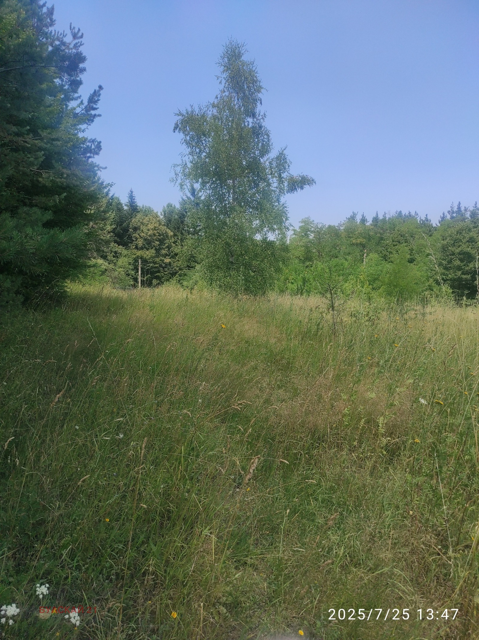 Продава ПАРЦЕЛ, гр. София, с. Долни Пасарел, снимка 2 - Парцели - 51177656