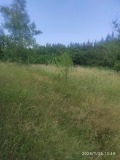 Продава ПАРЦЕЛ, град София, с. Долни Пасарел • 408150 € • 23114897 — Holmes.bg