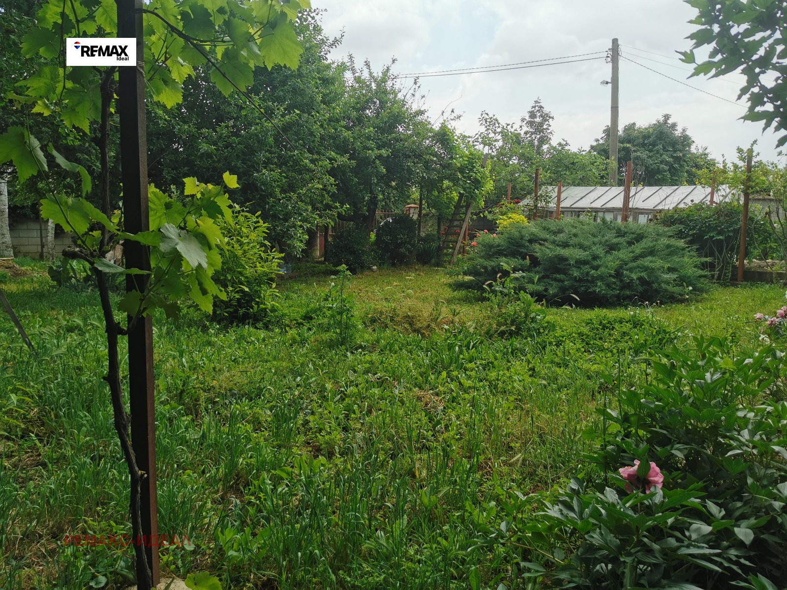 ������� ���� | Imot.bg � ����������� 1