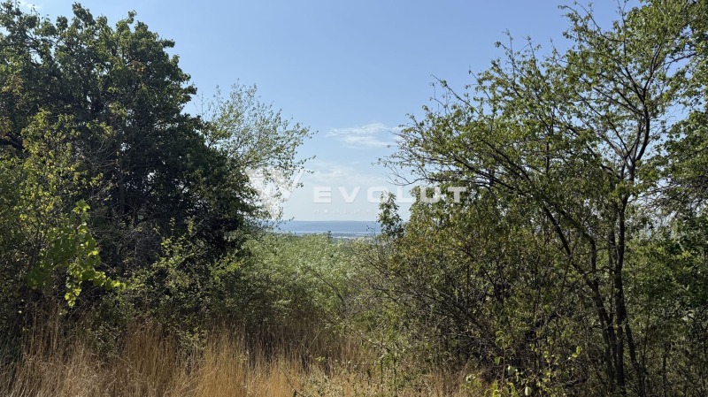For Sale  Plot region Varna , Aksakovo , 3000 sq.m | 85336891 - image [4]