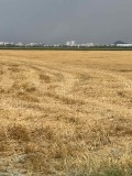 Продава  Земеделска земя област Пловдив , с. Ягодово , 13.496 дка | 37652512 - изображение [2]