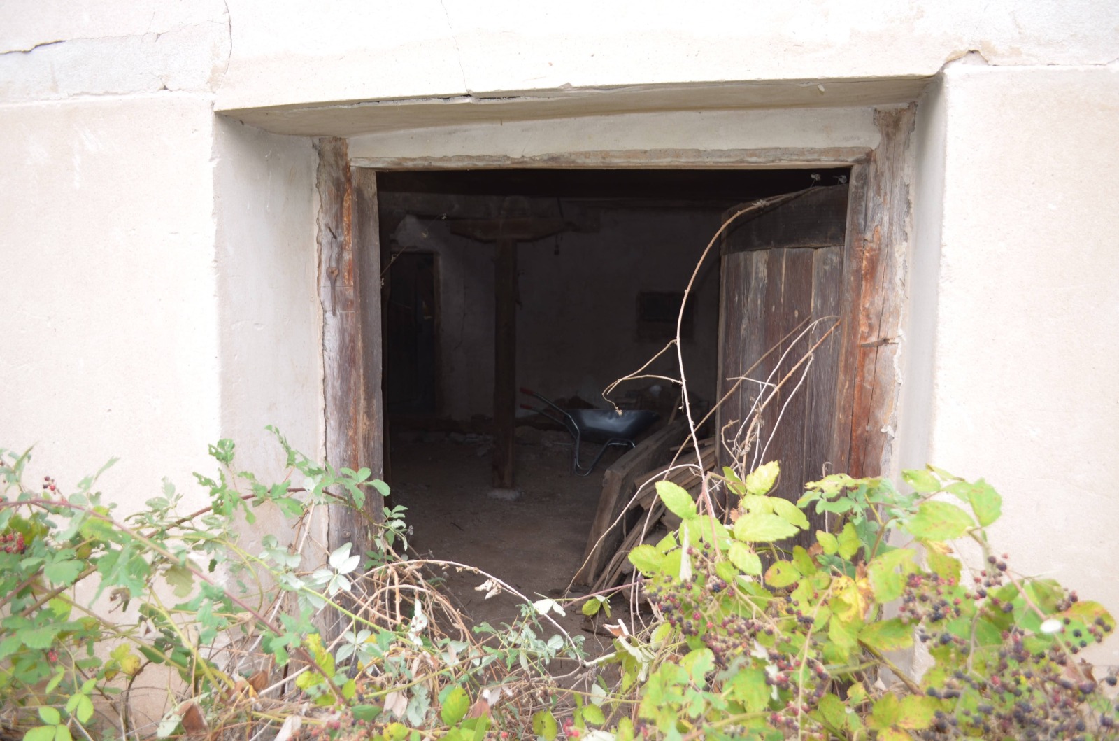 ������� ���� | Imot.bg � ����������� 7