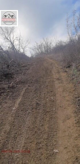 ������� ������ | Imot.bg � ����� ������ 7