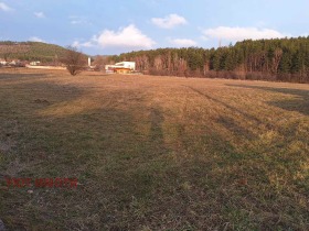 ����� ������� ������,���� �����, �. ��������