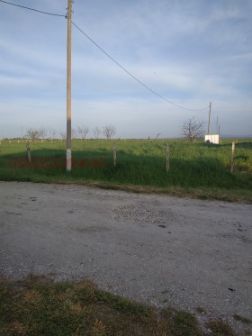 ������ ������� ������