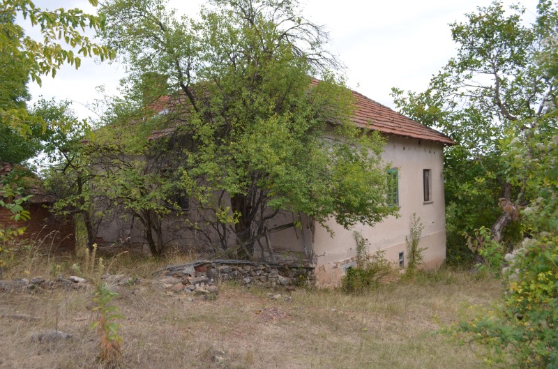 Продава КЪЩА, с. Лесковец, област Монтана, снимка 3 - Къщи - 52824737