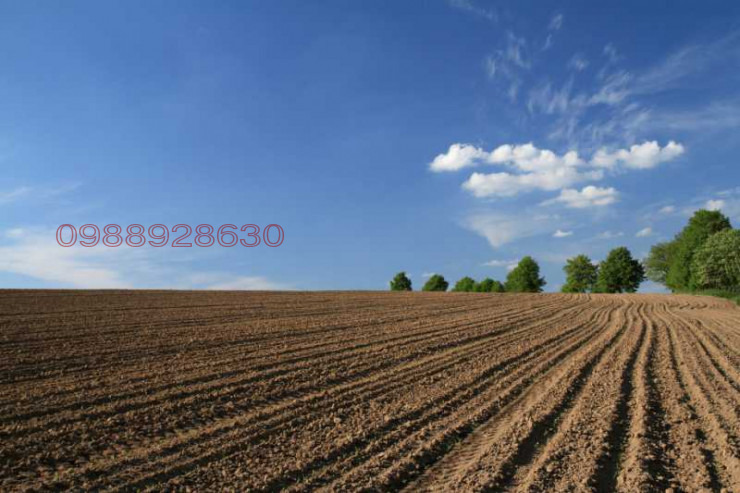 ������� ���������� ���� | Imot.bg � ����������� 1