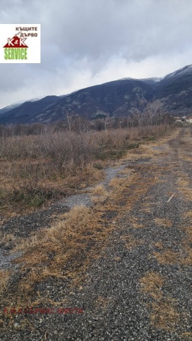 ����� ������� ���������� ����,��. �������, ������ �������