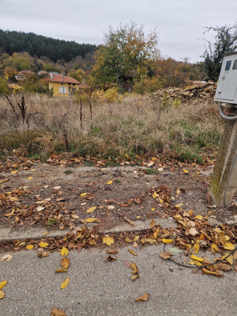 Till salu  Komplott region Gabrovo , Krusjevo , 823 kvm | 54126767 - bild [11]