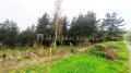 Продава ПАРЦЕЛ, в.з.Ярема, област София област, снимка 2