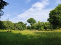 Продава ПАРЦЕЛ, гр. Априлци, област Ловеч, снимка 2