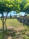 Продава КЪЩА, област Пловдив, с. Граф Игнатиево • 147500 € • 92730427 — Holmes.bg