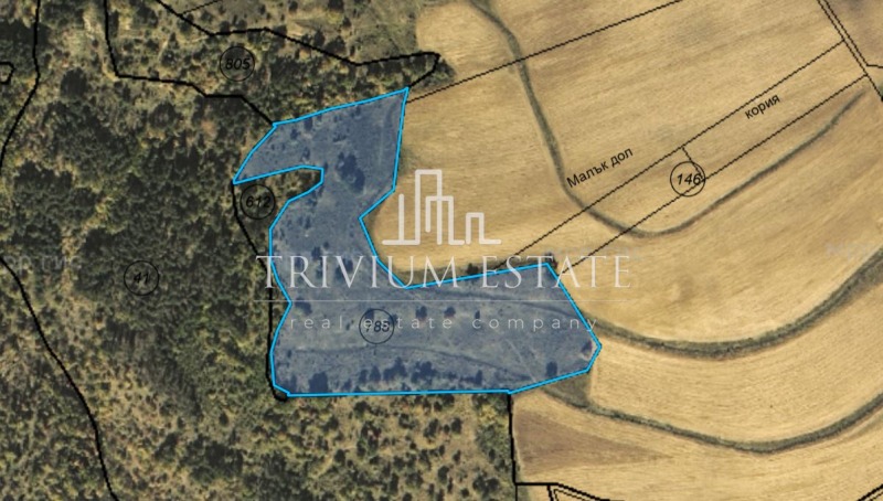 Продава ЗЕМЕДЕЛСКА ЗЕМЯ, с. Балабанчево, област Бургас