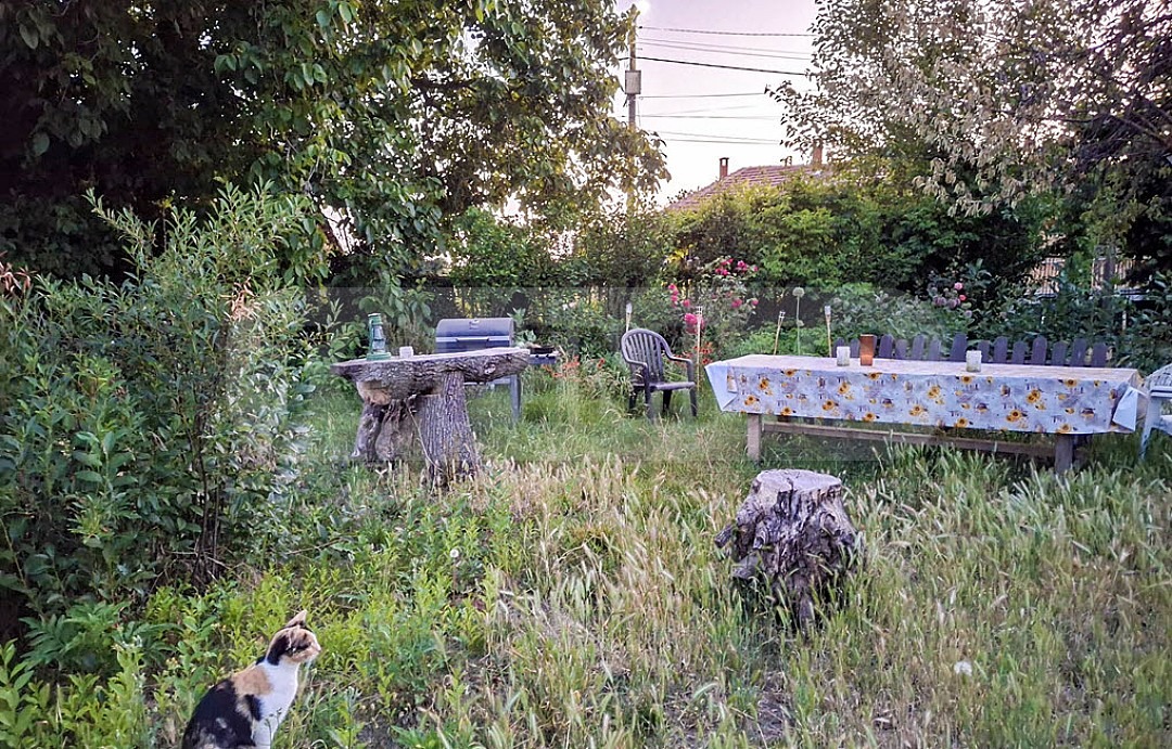 Продава КЪЩА, с. Септемврийци, област Добрич, снимка 17 - Къщи - 53602334