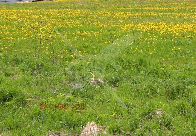 Продава ПАРЦЕЛ | Imot.bg — изображение 1