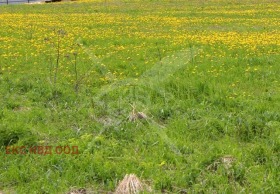 Plot Vedrare, region Plovdiv