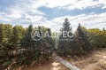 Продава 2-СТАЕН, град Варна, Младост 2 • 94500 € • 44867056 — Holmes.bg
