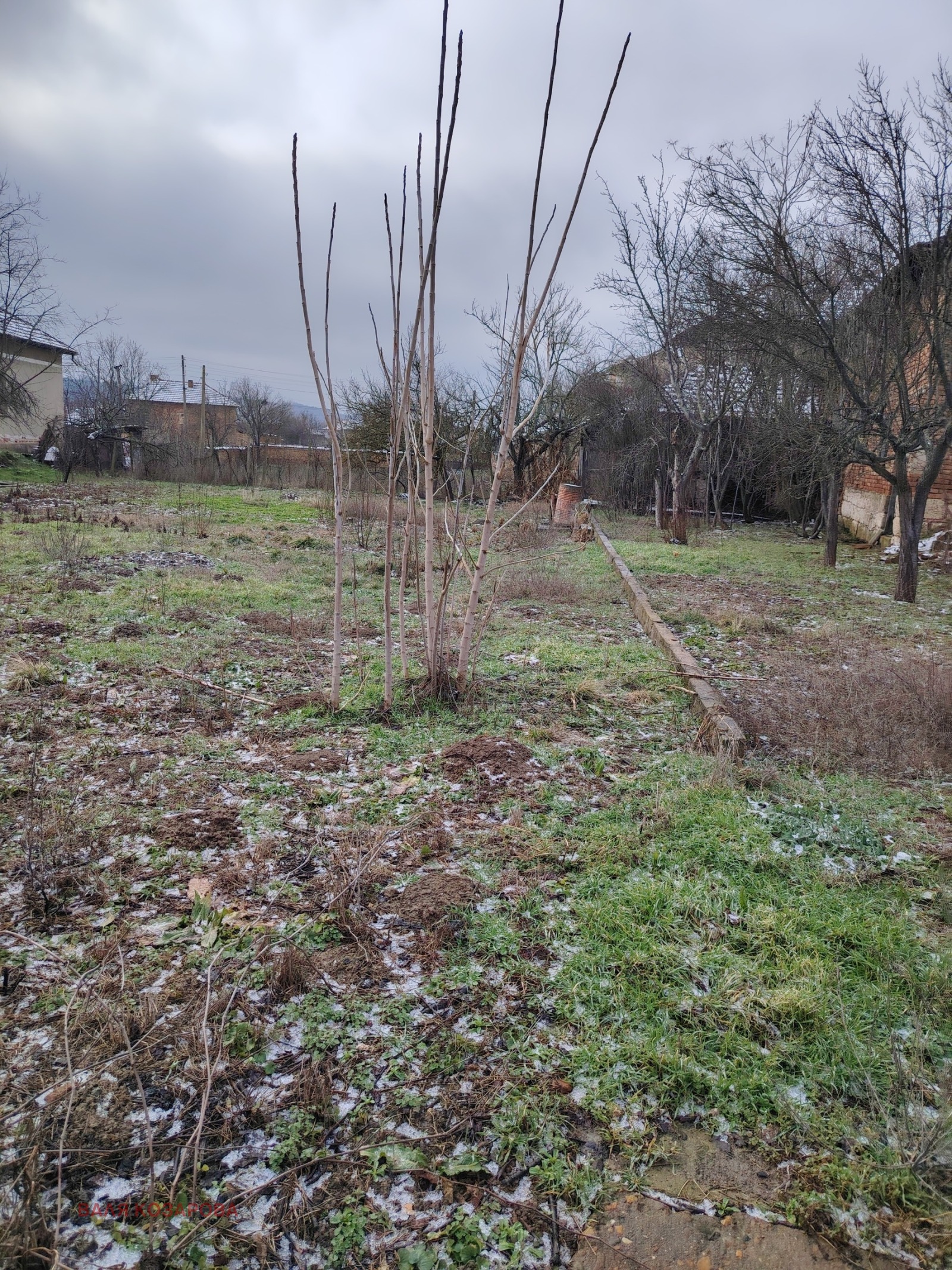 ������� ���� | Imot.bg � ����������� 8