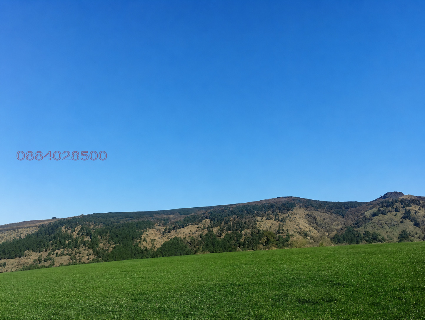 ������� ������ | Imot.bg � ����������� 8