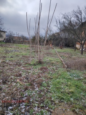 ������� ���� | Imot.bg � ����� ������ 8