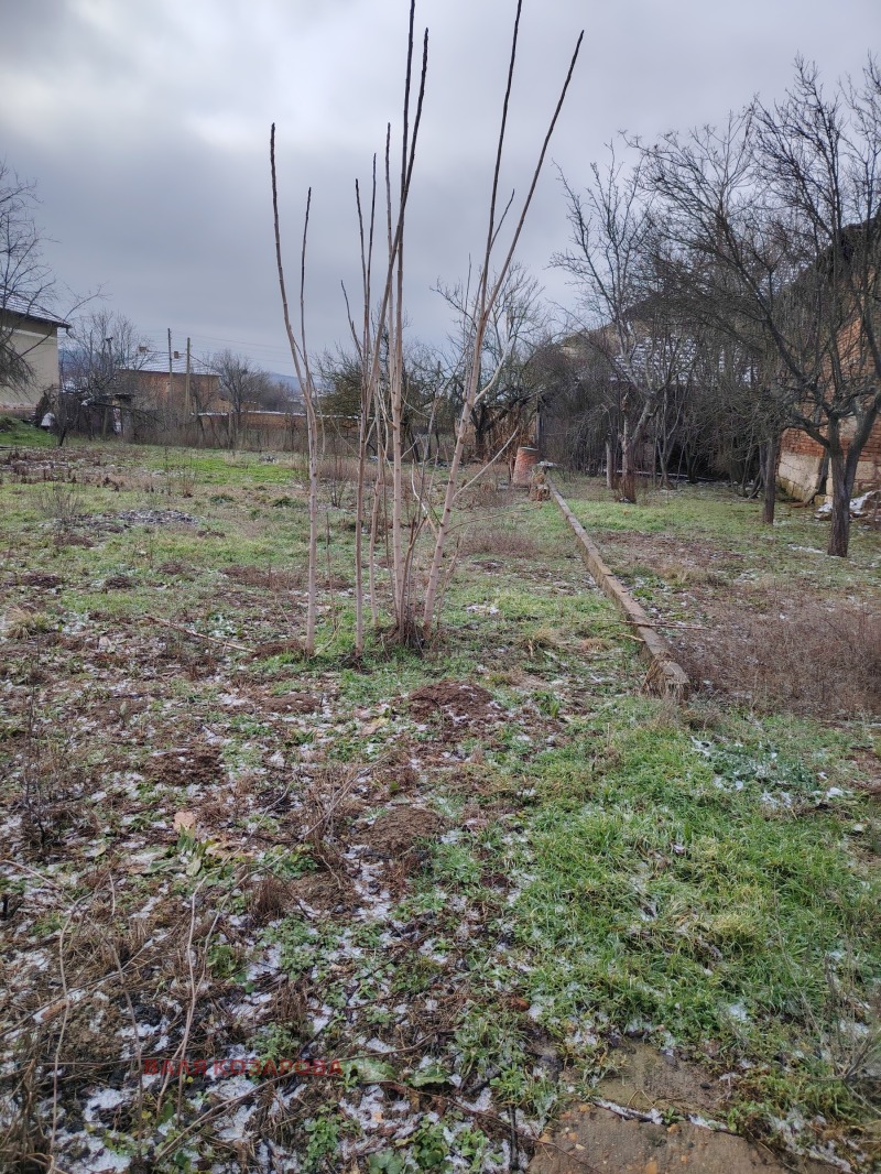 Продава КЪЩА, с. Комарево, област Плевен, снимка 7 - Къщи - 53593294