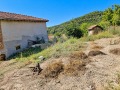 Продава КЪЩА, гр. Девня, област Варна, снимка 4
