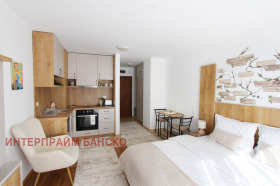 Studio Bansko, region Blagoevgrad 4