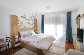 Studio Bansko, region Blagoevgrad 1