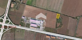 ������ ������� ������