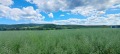 Продава КЪЩА, град Бургас, с. Маринка • 275000 € • 84770243 — Holmes.bg