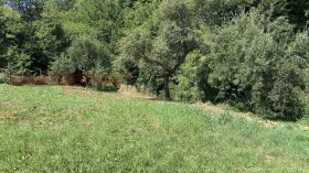 ������� ������ | Imot.bg � ����� ������ 7
