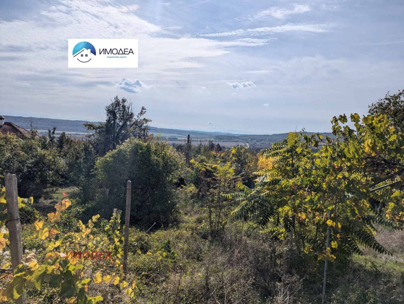 Продава КЪЩА, с. Вишовград, област Велико Търново, снимка 12 - Къщи - 52310700