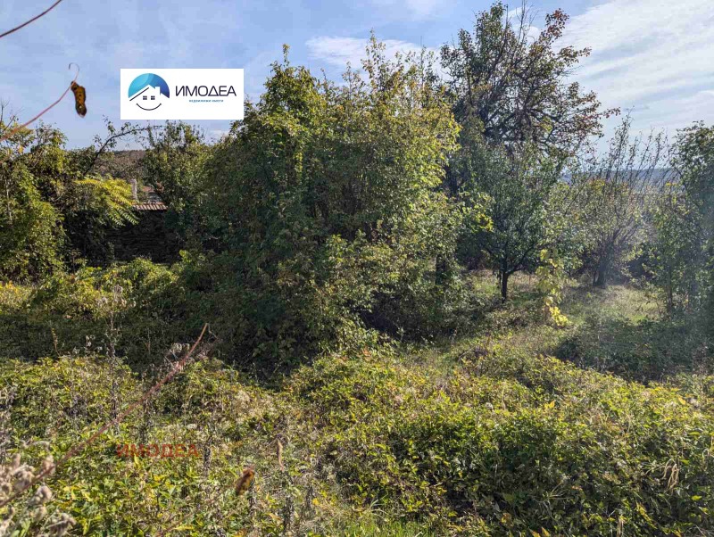 Продава КЪЩА, с. Вишовград, област Велико Търново, снимка 11 - Къщи - 52310700