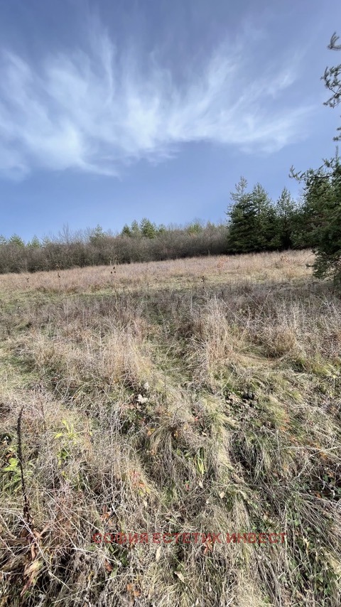 Продава ПАРЦЕЛ, гр. Годеч, област София област, снимка 5 - Парцели - 51651735