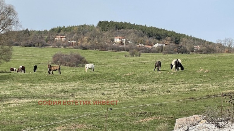 Продава ПАРЦЕЛ, гр. Годеч, област София област, снимка 3 - Парцели - 51651735