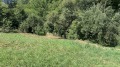 Продава  Парцел област Ловеч , с. Чифлик , 580 кв.м | 89914561 - изображение [7]