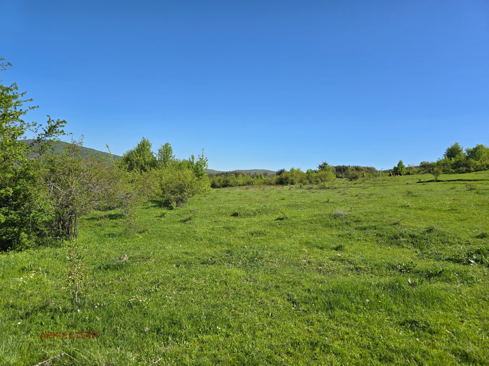 ������� ������ | Imot.bg � ����������� 2