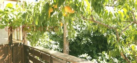 ������� 4-����� | Imot.bg � ����� ������ 15