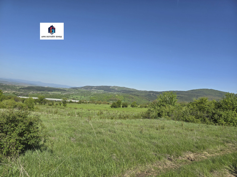 Продава  Парцел област Перник , с. Големо Бучино , 2619 кв.м | 24214700 - изображение [6]