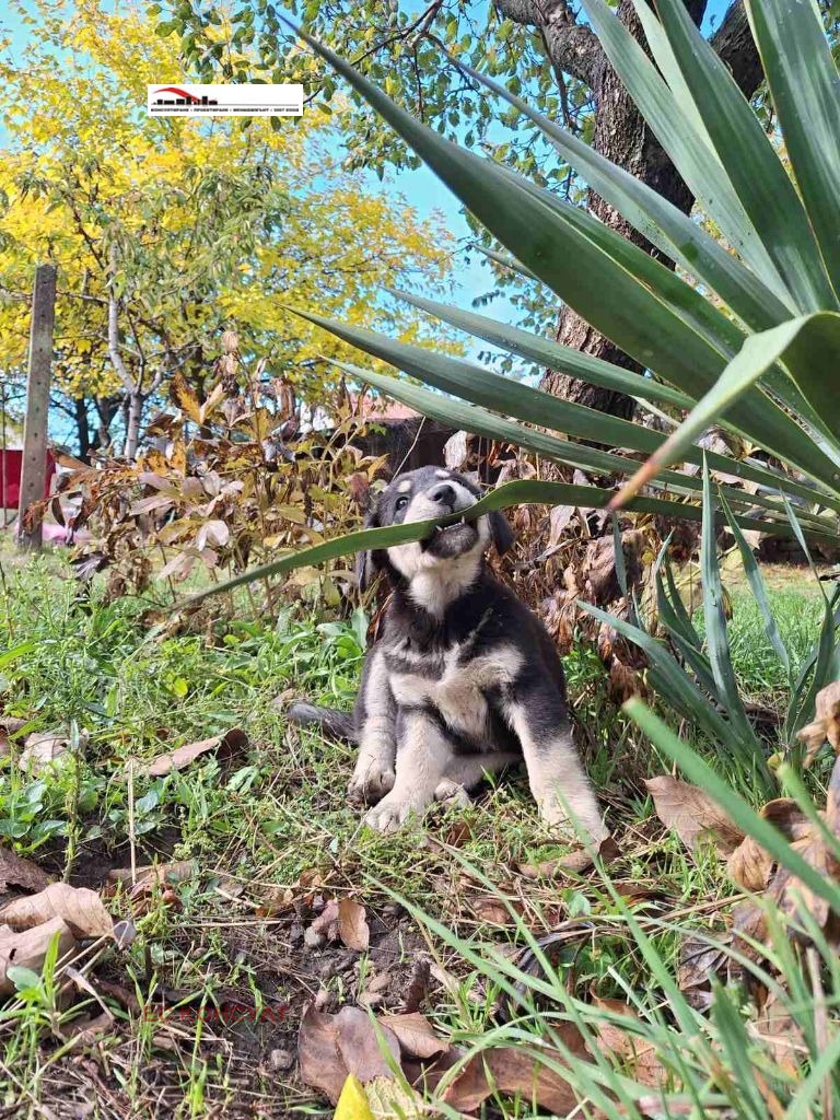 ������� ������ | Imot.bg � ����������� 1