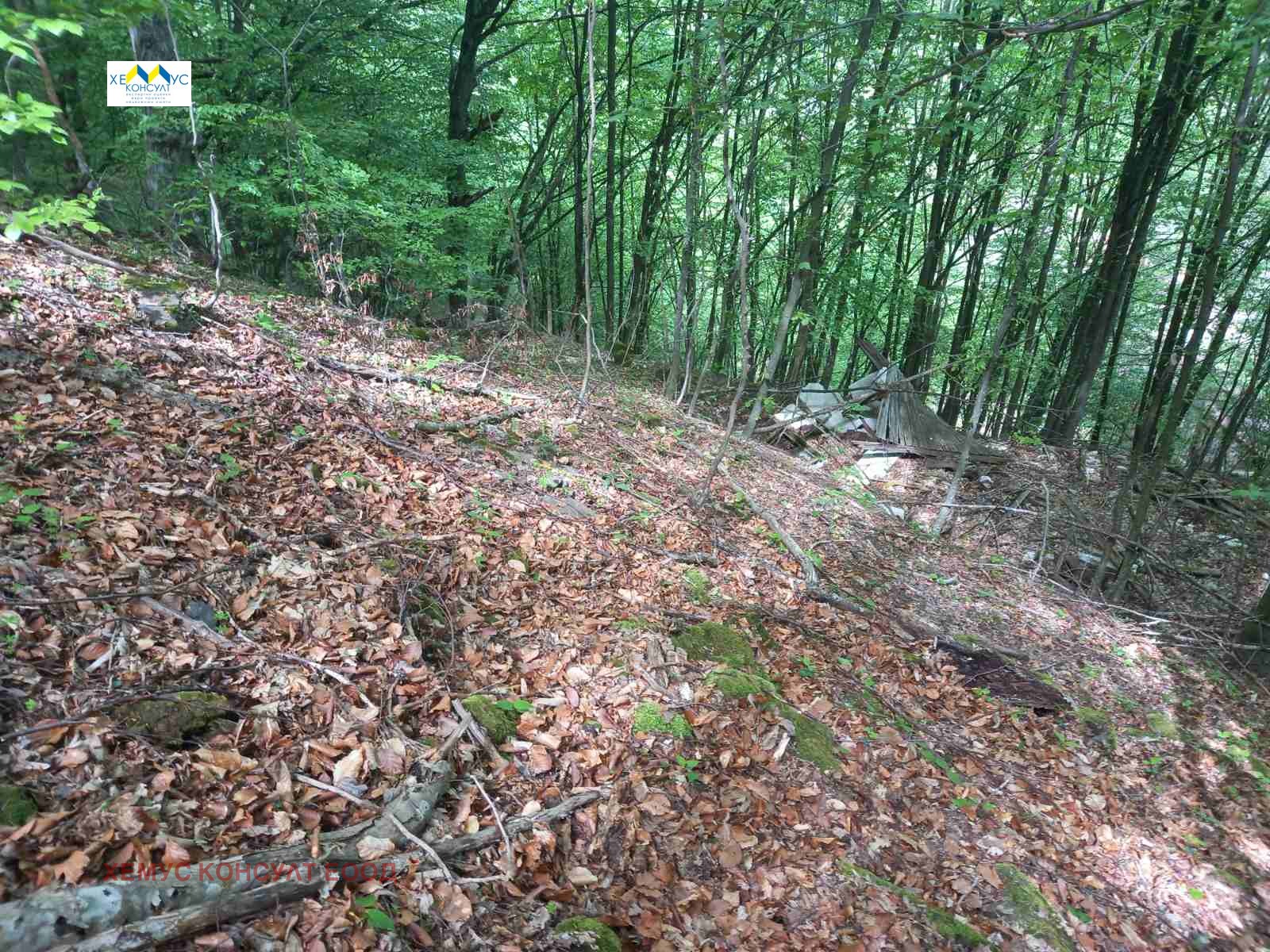 Продава ПАРЦЕЛ, с. Черни Осъм, област Ловеч, снимка 5 - Парцели - 51210602