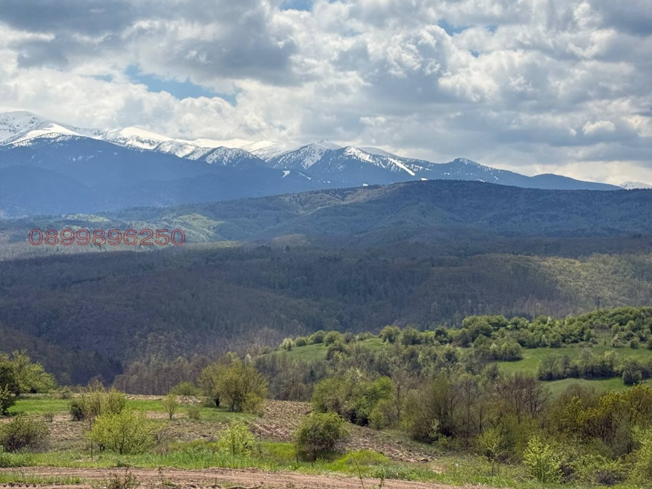 Продава ПАРЦЕЛ, с. Гуцал, област София област, снимка 5 - Парцели - 54536389