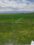 Продава ПАРЦЕЛ, област Пловдив, с. Труд • 80000 € • 44987174 — Holmes.bg