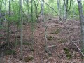 Продава ПАРЦЕЛ, област Ловеч, с. Черни Осъм • 25000 лв. • 73430949 — Holmes.bg