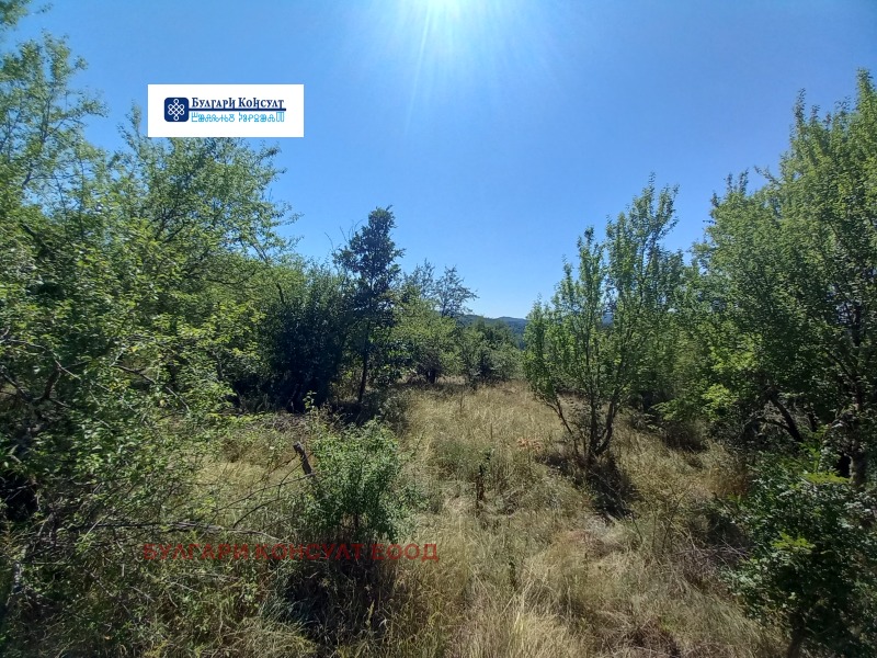 De vânzare  Casa regiunea Kyustendil , Precolnița , 71 mp | 67143629 - imagine [6]